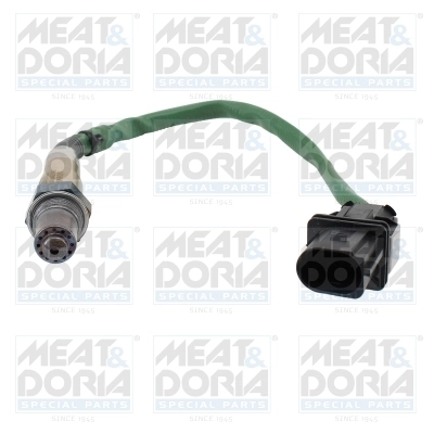 Oxygen Sensor